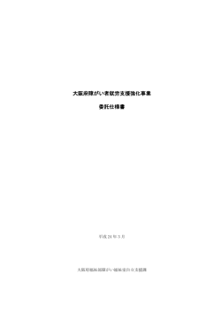 仕様書 [PDFファイル／368KB] - 大阪府