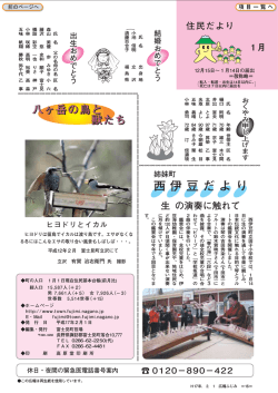 西伊豆だより - 富士見町