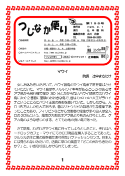マウイ 1 - つじなか便り