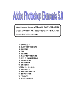 Photoshop Elements5.0マニュアル(pdf)