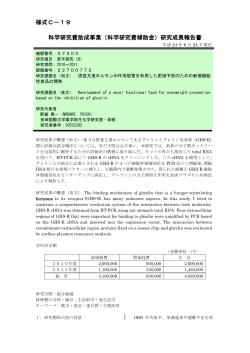 研究成果報告書 - KAKEN - 科学研究費助成事業データベース