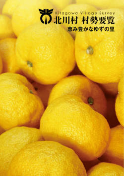 北川村 村勢要覧