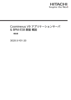 アプリケーションサーバ  BPM/ESB基盤 概説 - ドキュメント（IT