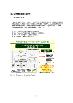 ナノ粒子PJ その2 - ナノテクノロジー 知識の構造化プラットフォーム