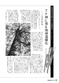 ブ ナ 林 に 見 る 地 球 温 暖 化