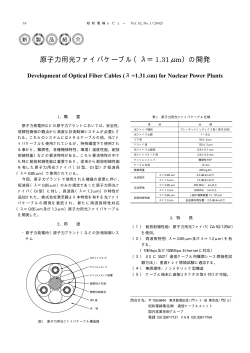 原子力用光ファイバケーブル（λ＝1.31μm）の開発 - 昭和電線