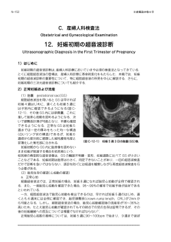 12．妊娠初期の超音波診断