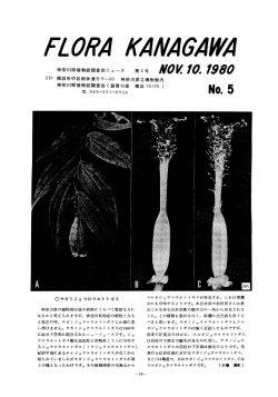 5号（1980年11月10日発行 pdfファイル 3.3MB） - 神奈川県植物誌調査会