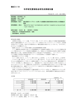 様式 C-19 科学研究費補助金研究成果報告書 - KAKEN - 科学研究費