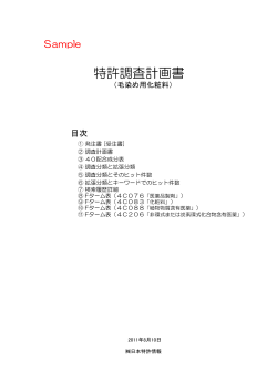 特許調査計画書