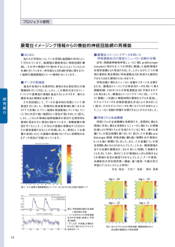 プロジェクト研究の詳細（pdf） - 統計数理研究所
