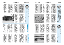 一般質問 市町村合併について