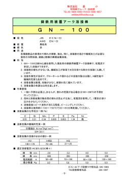 G N － 1 0 0 - 菱小