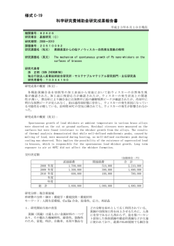 様式 C-19 科学研究費補助金研究成果報告書 - KAKEN - 科学研究費