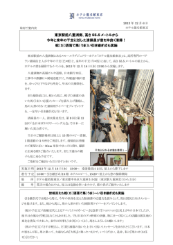 東京駅前八重洲側、高さ 55.5 メートルから 今年と来年の干支に  - 龍名館