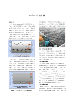 モジャコと流れ藻 - 鹿児島県 水産技術開発センター
