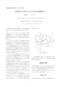 06_V50_02山梨県内の河川における原虫類調査(PDF：297KB)