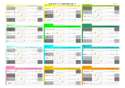 試合結果 予選リーグ＆決勝トーナメント（pdf）