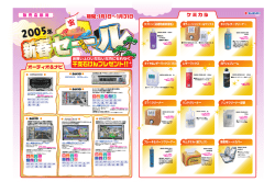 タプトン（浸透防錆潤滑剤） ボディーシャンプー＆ワックス キャブレター