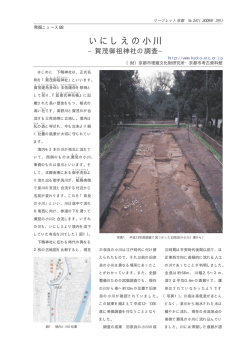 241 - 公益財団法人京都市埋蔵文化財研究所