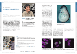 中川RNA生物学研究室 - 基幹研究所 RIKEN Advanced Science Institute