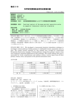 様式 C-19 科学研究費補助金研究成果報告書 - KAKEN - 科学研究費