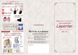 Laporter