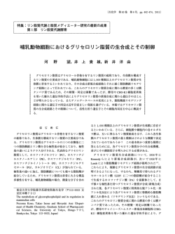 哺乳動物細胞におけるグリセロリン脂質の生合成とその制御