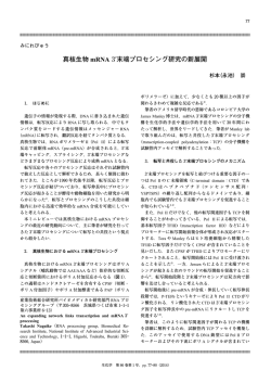 真核生物 mRNA3′末端プロセシング研究の新展開