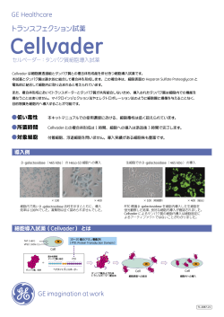 タンパク質細胞導入試薬 Cellvader（セルベーダー）