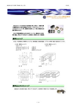PDFダウンロード(355KB) - 日本カットコアートランス(株)
