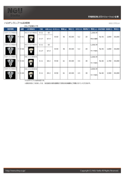 詳細（PDF）