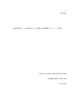 博士論文 Nfe2 関連因子と小 Maf 群因子による遺伝子発現  - 東北大学