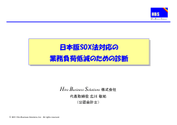 日本版SOX法の業務負荷低減のための診断 - Hiro Business Solutions