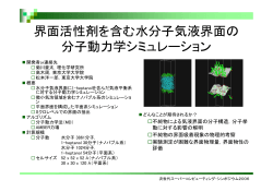 界面活性剤を含む水分子気液界面の 分子動力学シミュレーション