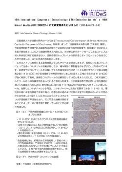詳細はこちら - 東北大学 災害科学国際研究所 IRIDeS