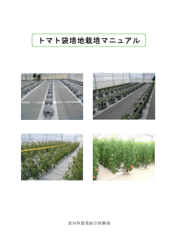 「トマト袋培地栽培マニュアル」（PDFファイル：880KB） - 愛知県