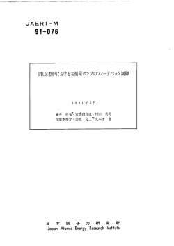 JAERI-M-91-076.pdf:1.02MB