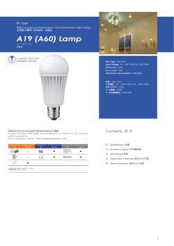 A19 (A60) Lamp - Taiwan Trade