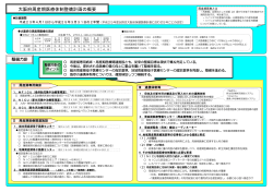 大阪府周産期医療体制整備計画の概要 [PDFファイル／283KB]