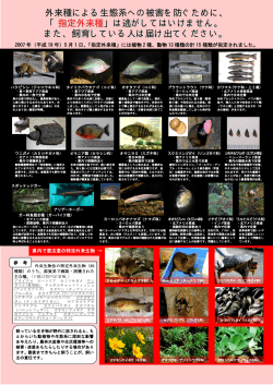 県内で要注意の特定外来生物 - 滋賀県