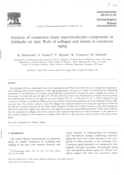 of connective tissue macromolecular components in