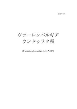 ヴァーレンベルギア ウンドゥラタ種