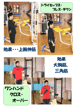 効果・・・上腕伸筋 ワンハンド クロス・ オーバー 効果 大胸筋、 三角筋