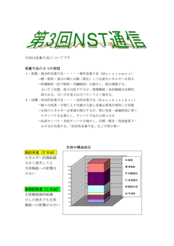 NST通信第3号