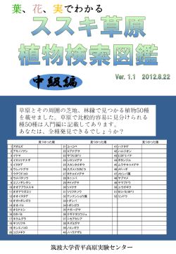 中級編 - 筑波大学菅平高原実験センター