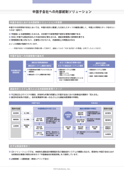 中国子会社への内部統制ソリューション - CDI Solutions