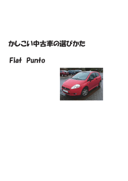 かしこい中古車の選びかた Fiat Punto