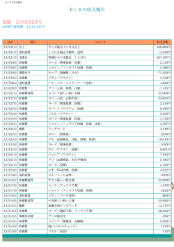 2008年会計報告