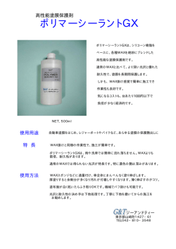 ポリマーシーラントGX - 株式会社ジーアンドティー